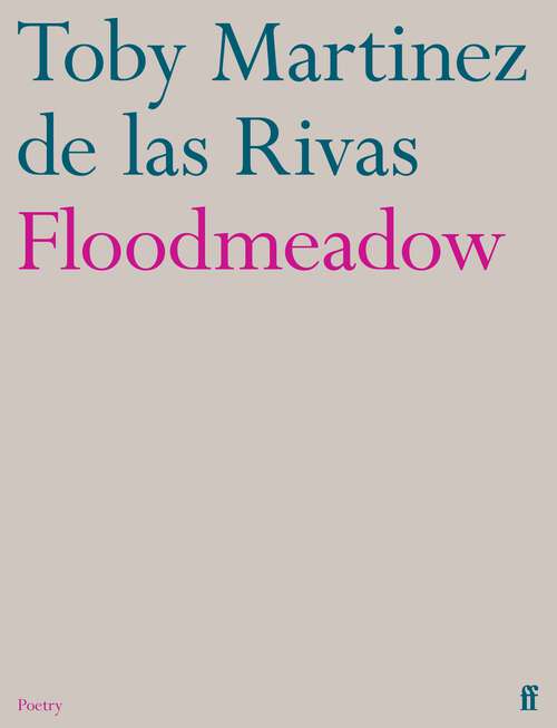 Book cover of Floodmeadow (Main)