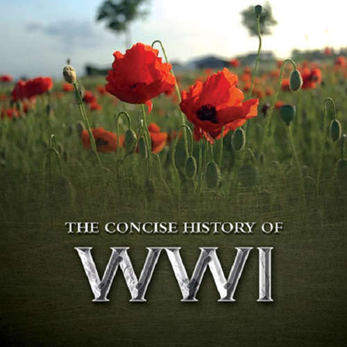 Book cover of The Consise History of WWI