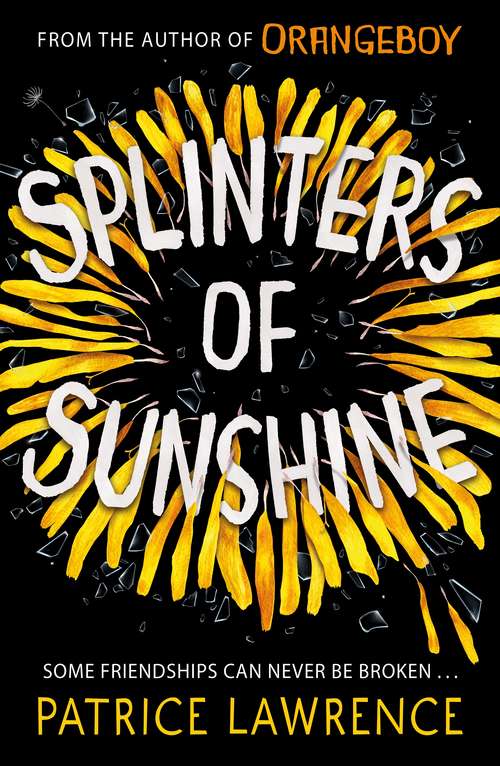 Book cover of Splinters of Sunshine