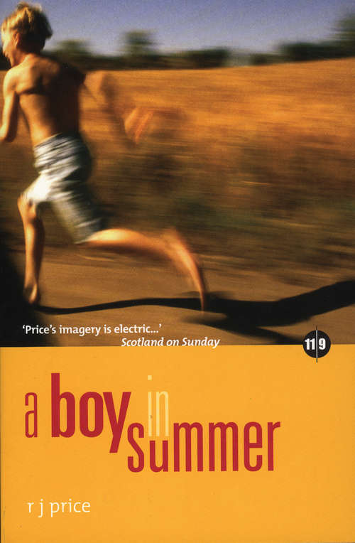 Book cover of A Boy in Summer