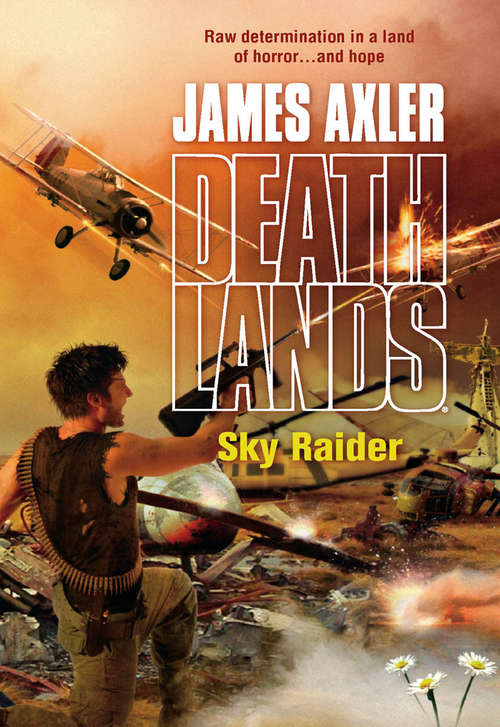 Book cover of Sky Raider (ePub First edition)