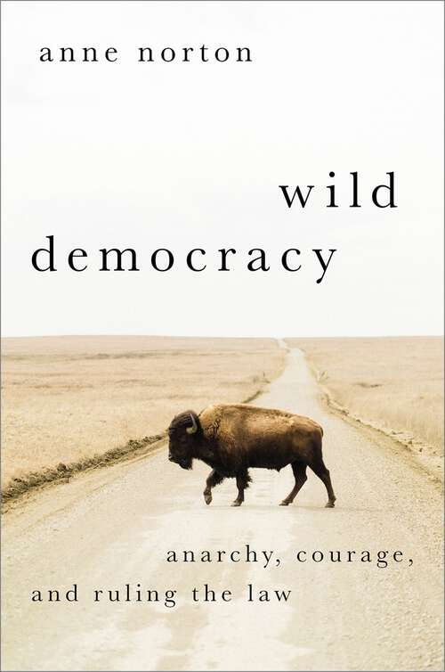 Book cover of Wild Democracy: Anarchy, Courage, and Ruling the Law (HERETICAL THOUGHT SERIES)