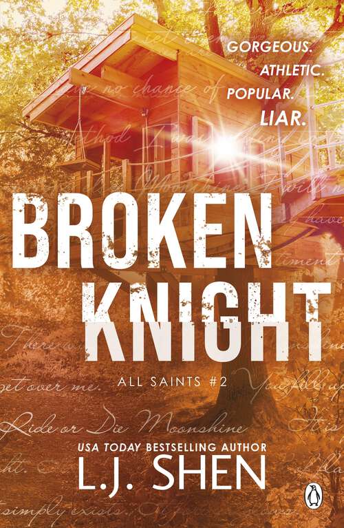 Book cover of Broken Knight