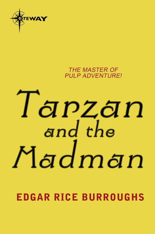 Book cover of Tarzan and the Madman (TARZAN #23)