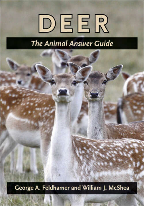 Book cover of Deer: The Animal Answer Guide (The Animal Answer Guides: Q&A for the Curious Naturalist)