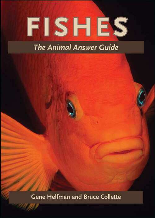 Book cover of Fishes: The Animal Answer Guide (The Animal Answer Guides: Q&A for the Curious Naturalist)