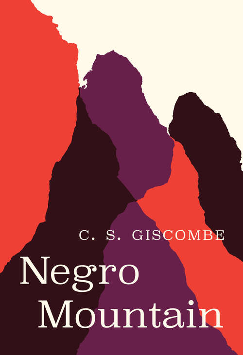 Book cover of Negro Mountain (Phoenix Poets)