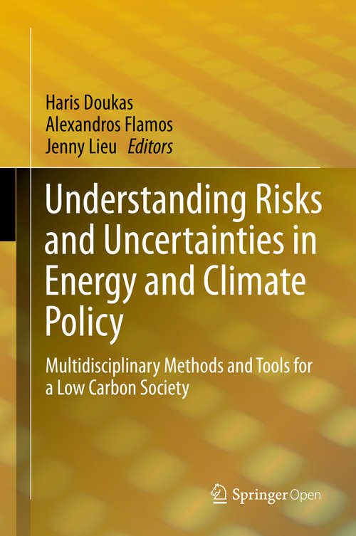 Book cover of Understanding Risks and Uncertainties in Energy and Climate Policy: Multidisciplinary Methods And Tools For A Low Carbon Society (1st ed. 2019)