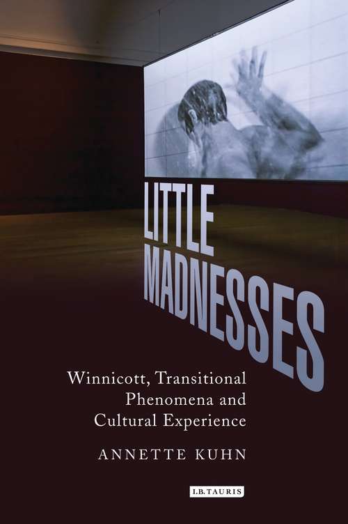 Book cover of Little Madnesses: Winnicott, Transitional Phenomena and Cultural Experience