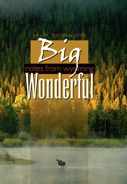 Book cover of Big Wonderful: Notes from Wyoming