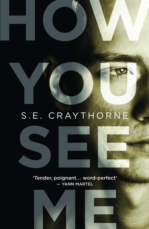 Book cover of How You See Me