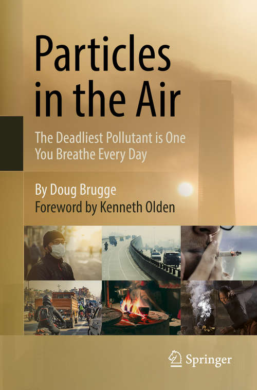 Book cover of Particles in the Air: The Deadliest Pollutant is One You Breathe Every Day (1st ed. 2018)