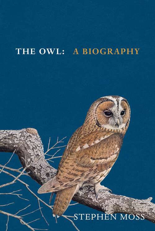 Book cover of The Owl: A Biography (The Bird Biography Series #5)