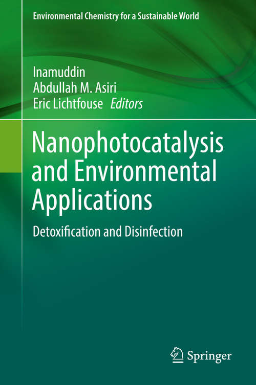 Book cover of Nanophotocatalysis and Environmental Applications: Detoxification and Disinfection (1st ed. 2020) (Environmental Chemistry for a Sustainable World #30)