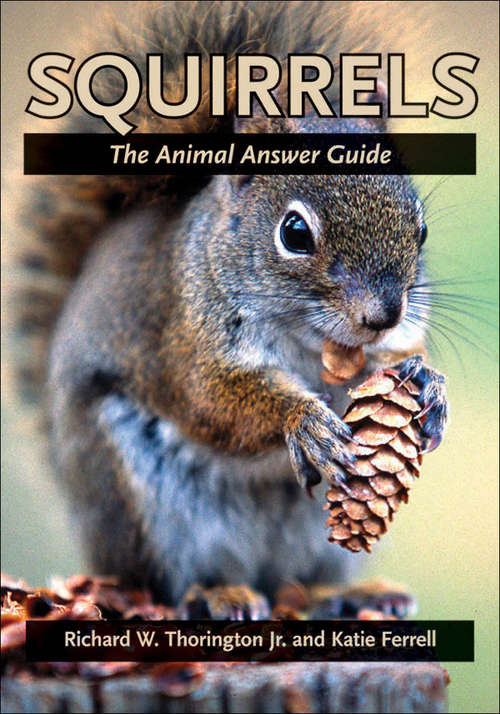 Book cover of Squirrels: The Animal Answer Guide (The Animal Answer Guides: Q&A for the Curious Naturalist)