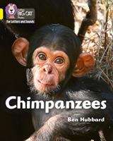 Book cover of Chimpanzees: Band 3 Yellow (PDF) (Collins Big Cat Phonics For Letters And Sounds Ser.)