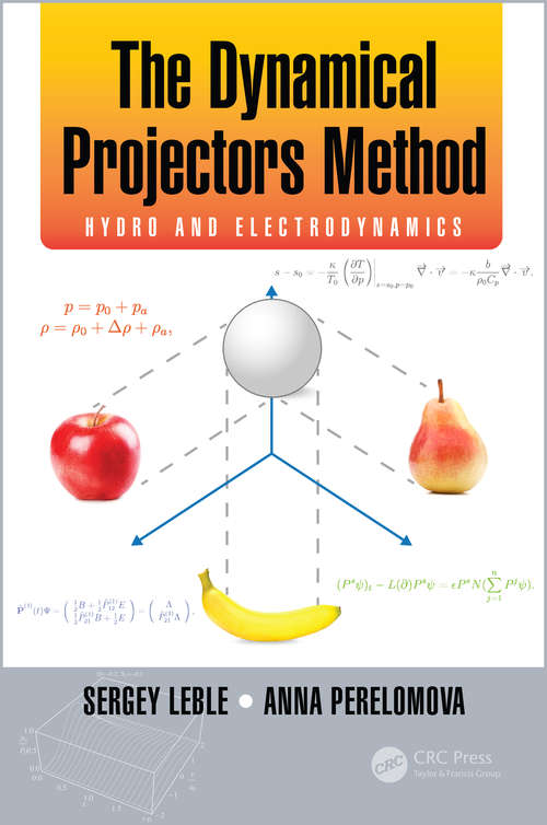 Book cover of The Dynamical Projectors Method: Hydro and Electrodynamics