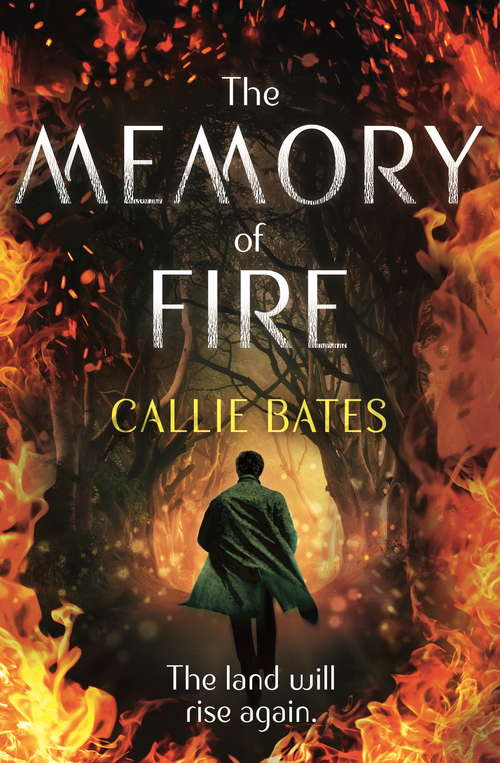 Book cover of The Memory of Fire: The Waking Land Book II (The Waking Land Series #2)