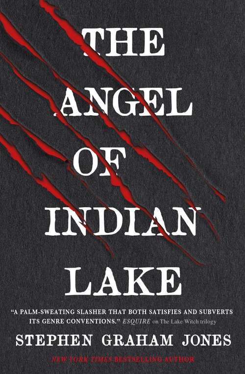 Book cover of The Angel of Indian Lake