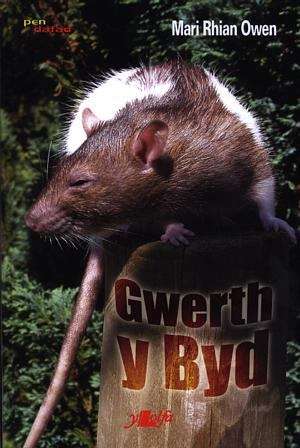 Book cover of Gwerth y Byd (Cyfres Pen Dafad)
