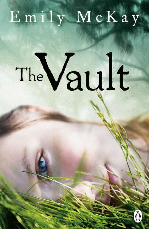 Book cover of The Vault (The Farm #3)