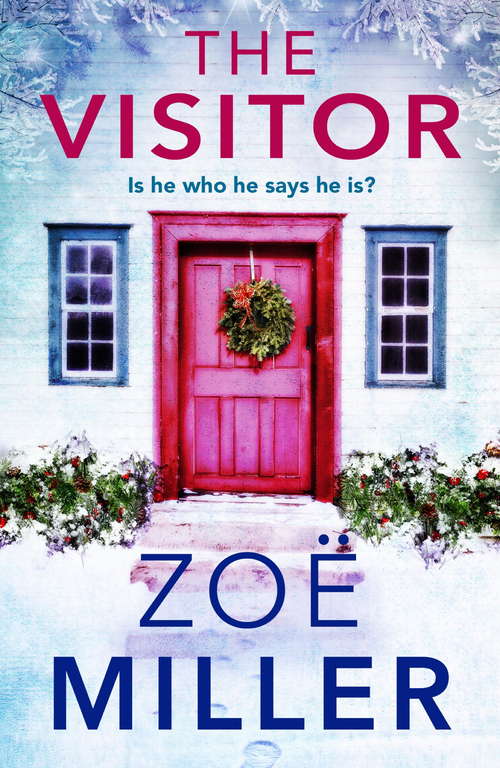 Book cover of The Visitor: Is he who he says he is?