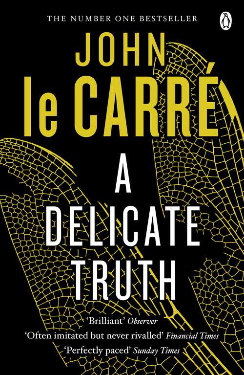 Book cover of A Delicate Truth
