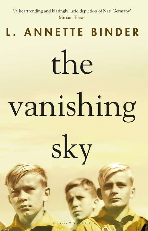 Book cover of The Vanishing Sky