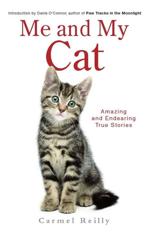 Book cover of Me and My Cat: Amazing And Endearing True Stories