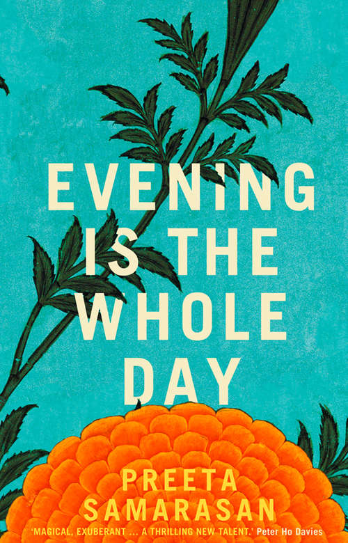 Book cover of Evening Is the Whole Day (ePub edition)