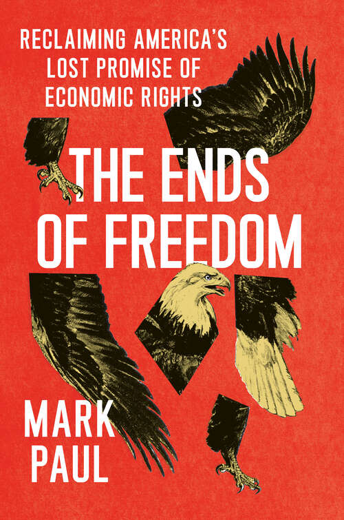 Book cover of The Ends of Freedom: Reclaiming America's Lost Promise of Economic Rights