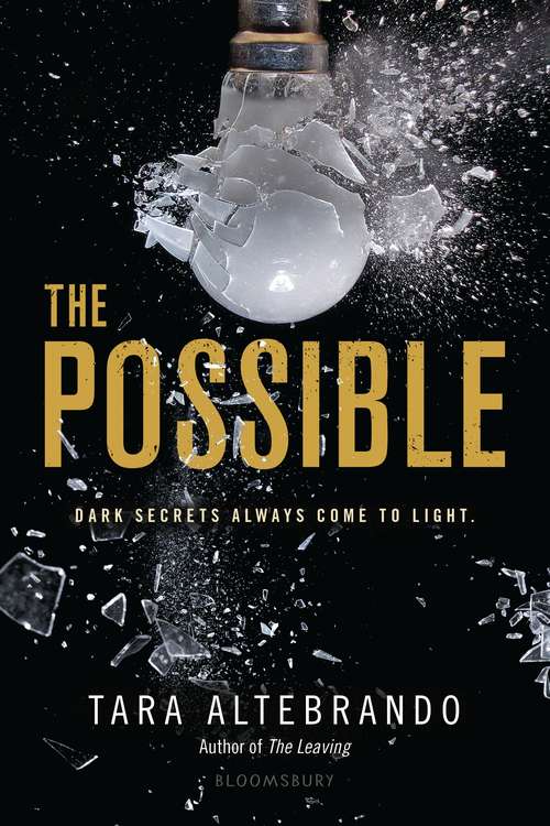 Book cover of The Possible