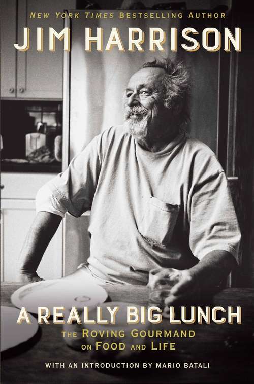 Book cover of A Really Big Lunch (Main)