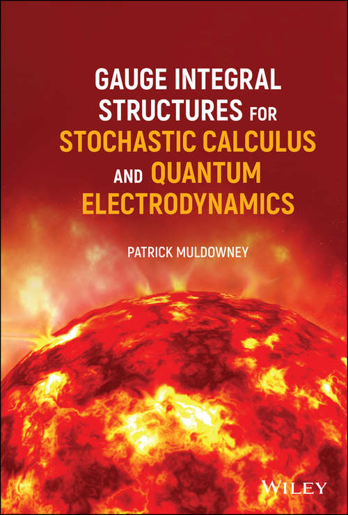 Book cover of Gauge Integral Structures for Stochastic Calculus and Quantum Electrodynamics