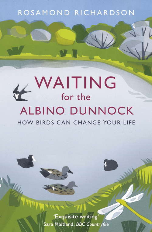Book cover of Waiting for the Albino Dunnock: How birds can change your life