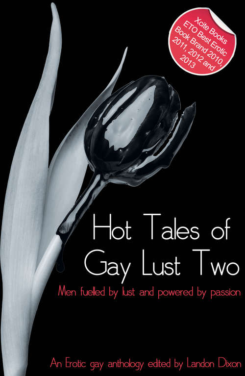 Book cover of Hot Tales of Gay Lust Two: Gay erotic fiction (Hot Tales of Gay Lust)