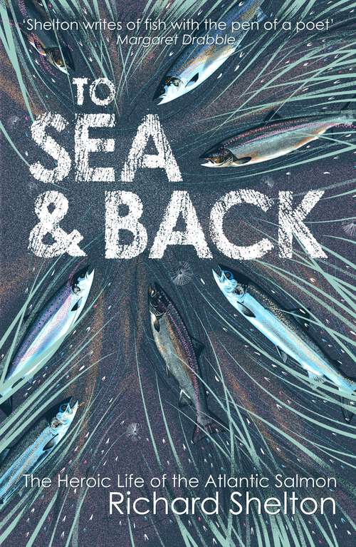 Book cover of To Sea and Back: The Heroic Life of the Atlantic Salmon (Main)
