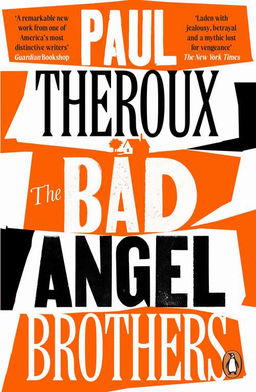 Book cover of The Bad Angel Brothers