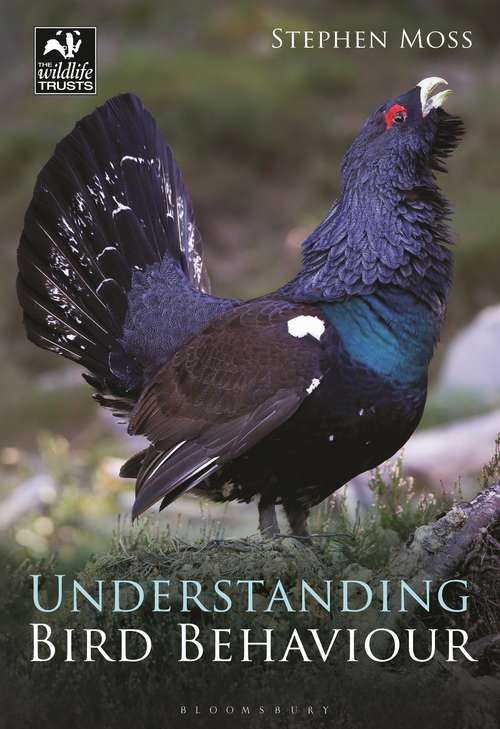 Book cover of Understanding Bird Behaviour