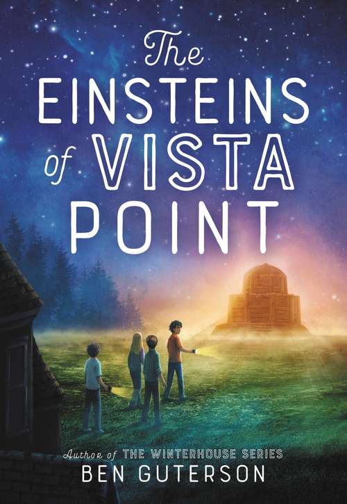 Book cover of The Einsteins of Vista Point