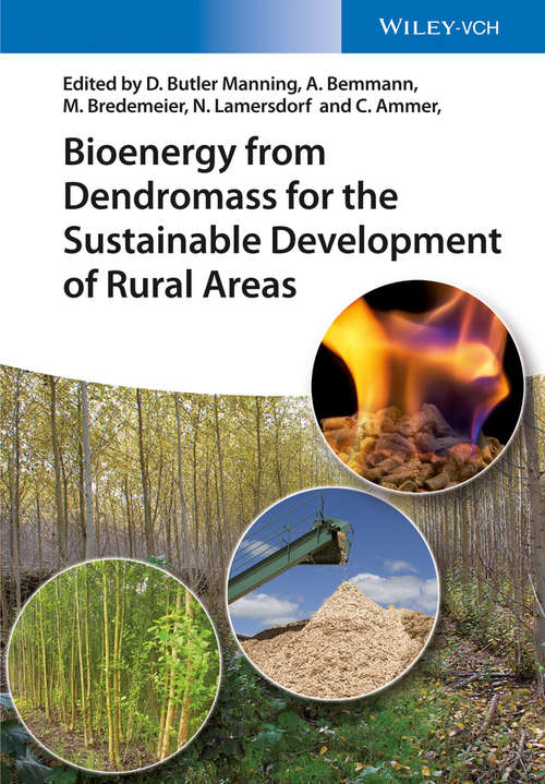 Book cover of Bioenergy from Dendromass for the Sustainable Development of Rural Areas