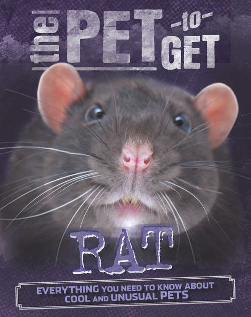 Book cover of Rat: Rat (The Pet to Get #2)
