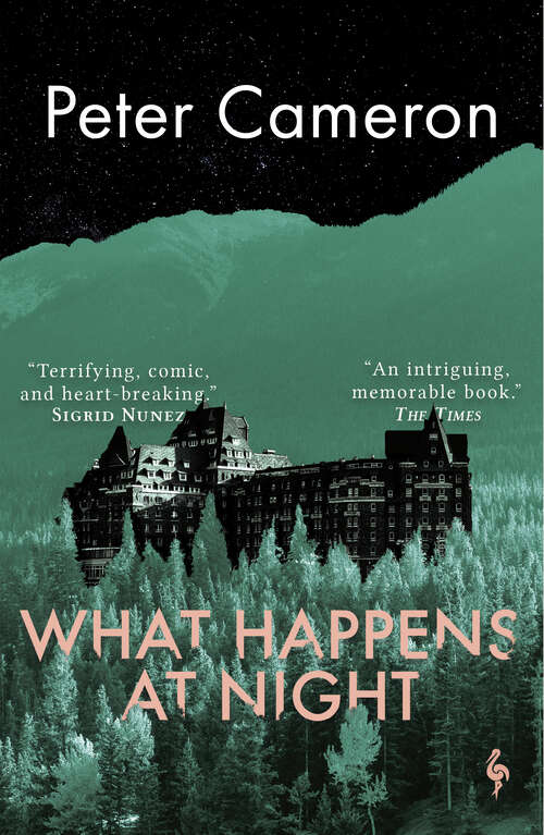 Book cover of What Happens at Night