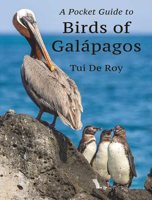 Book cover of A Pocket Guide to Birds of Galápagos