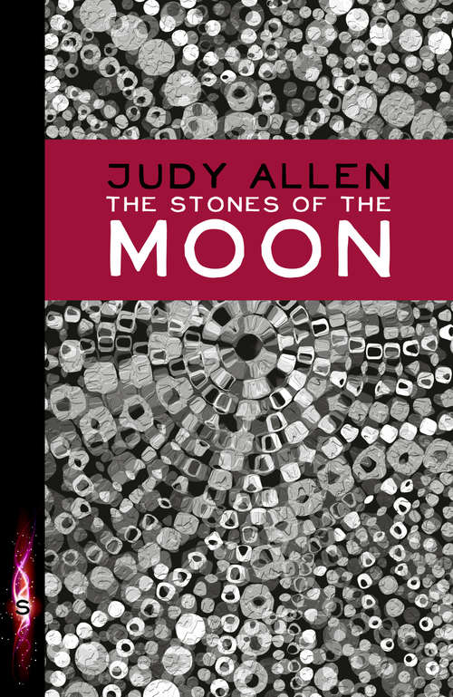 Book cover of The Stones Of The Moon (Hodder Silver Ser.)