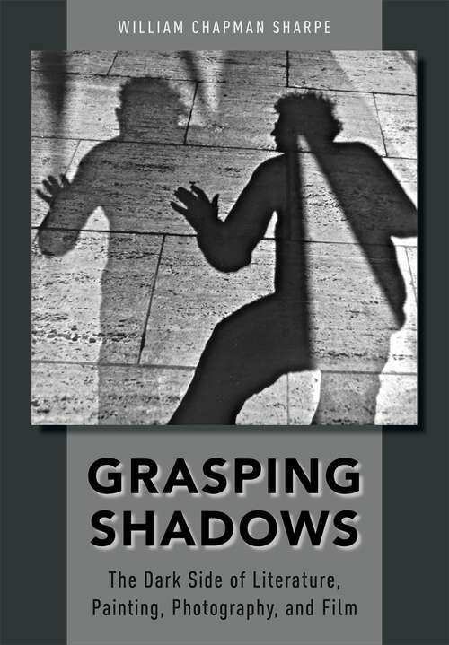 Book cover of Grasping Shadows: The Dark Side of Literature, Painting, Photography, and Film