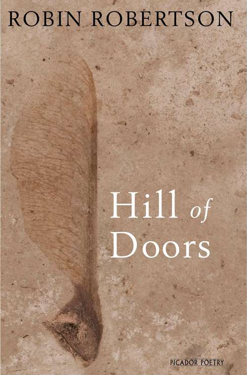 Book cover of Hill of Doors