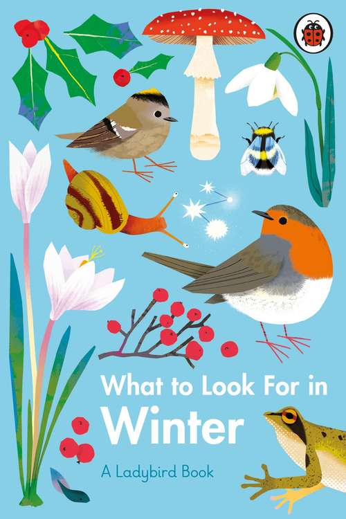 Book cover of What to Look For in Winter