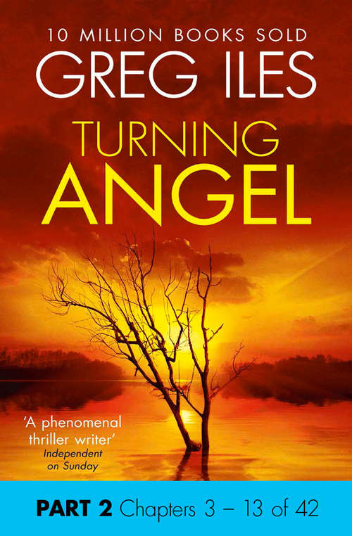 Book cover of Turning Angel: Part 2, Chapters 3 to 13 (ePub edition)