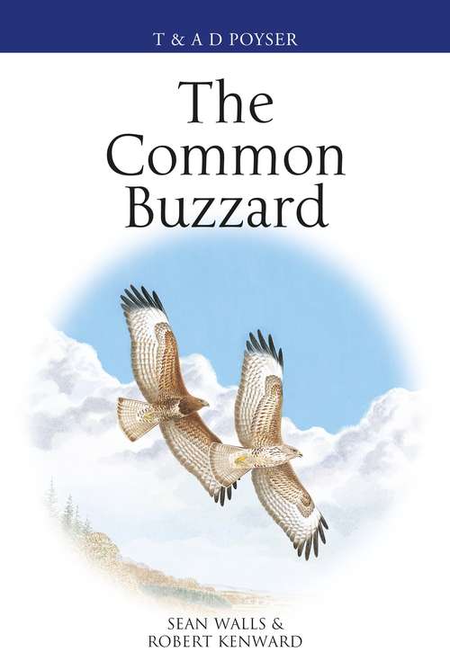 Book cover of The Common Buzzard (Poyser Monographs)